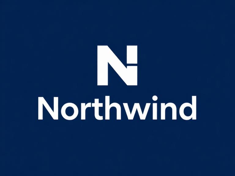 Wordmark logo for a fintech named 'Northwind', navy and electric blue, geometric sans-serif